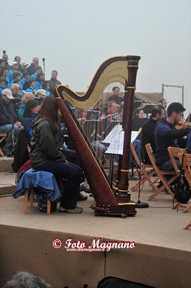 DSC_3884.jpg